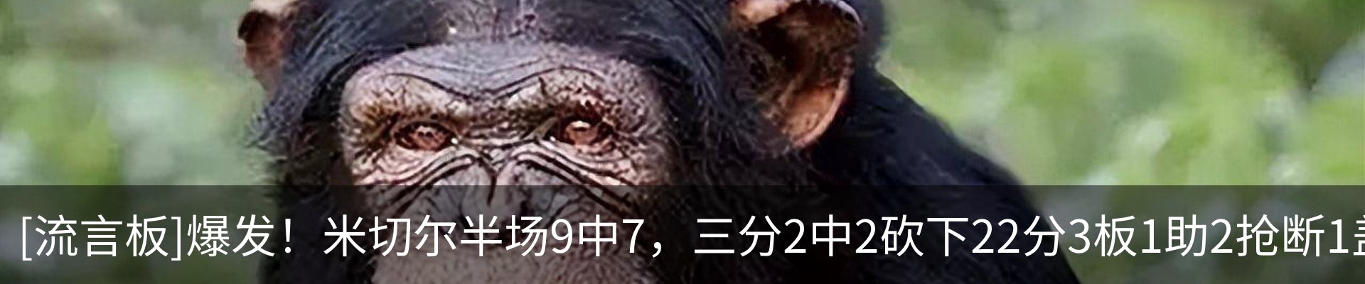 热点资讯